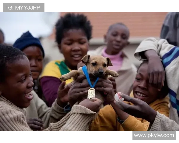 南非足球球星崛起之路：从街头足球到国际赛场的辉煌历程